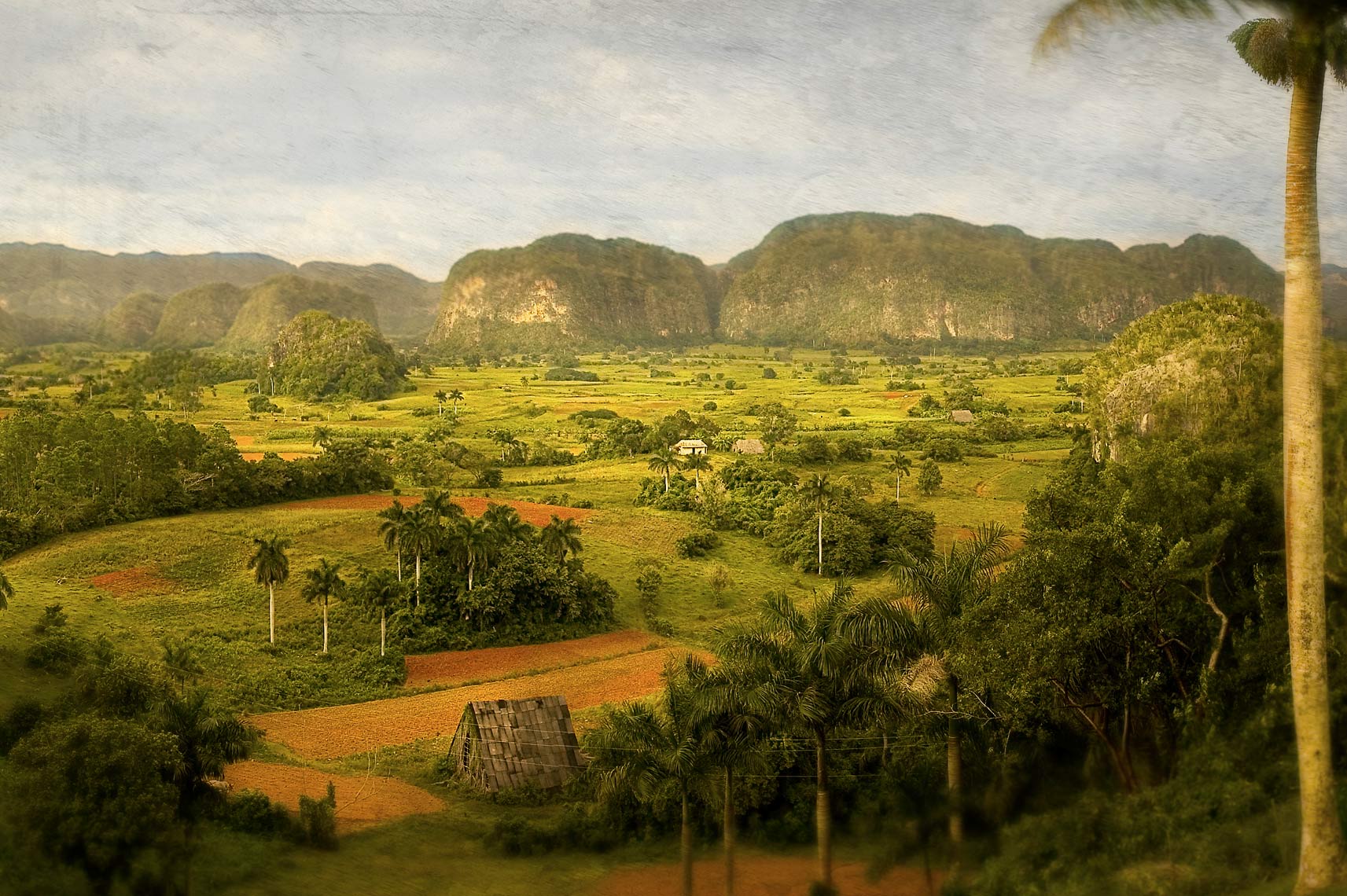 landscape28x11.jpg